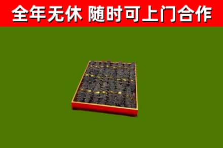 秦安回收海参